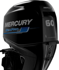 Κατηγορία 2